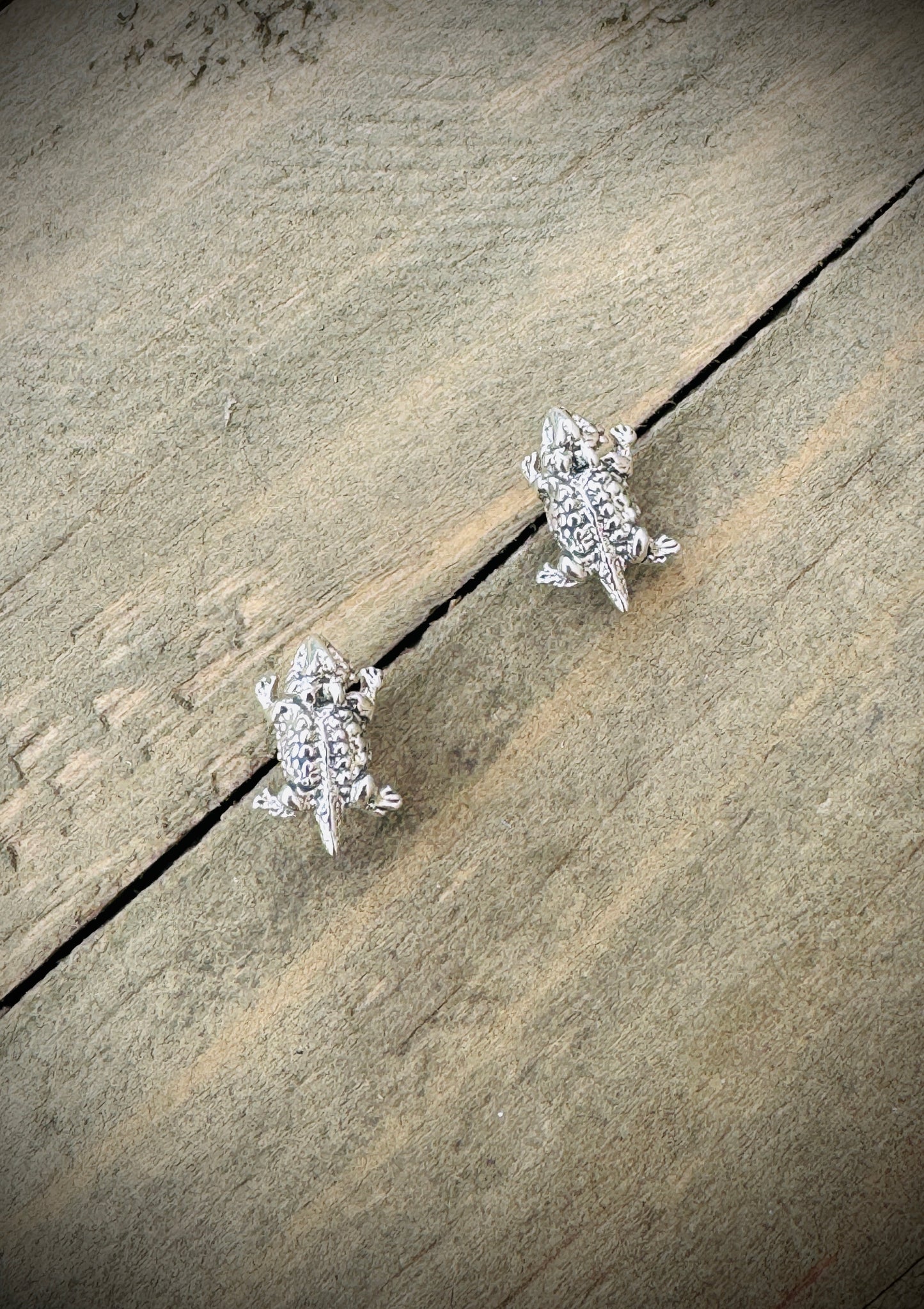 Horned Toad Earrings