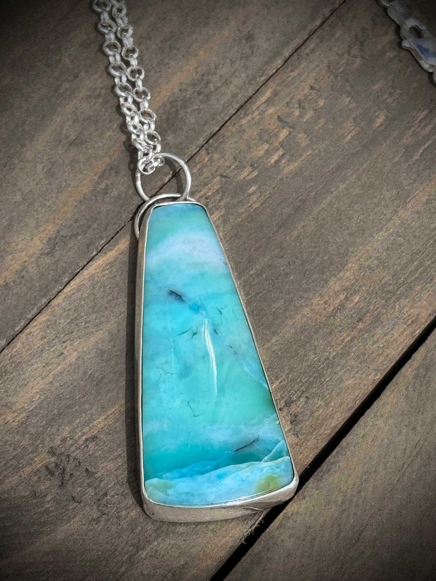 Opal Wood Fossil Necklace