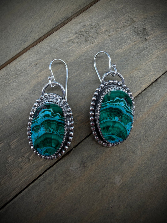 Oval Malachite and Chrysocolla Earrings