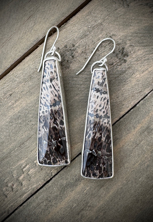 Fossilized Palm Root Earrings