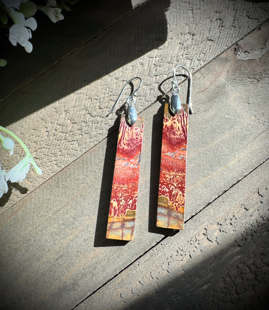 Red Creek Jasper Slab earrings #4